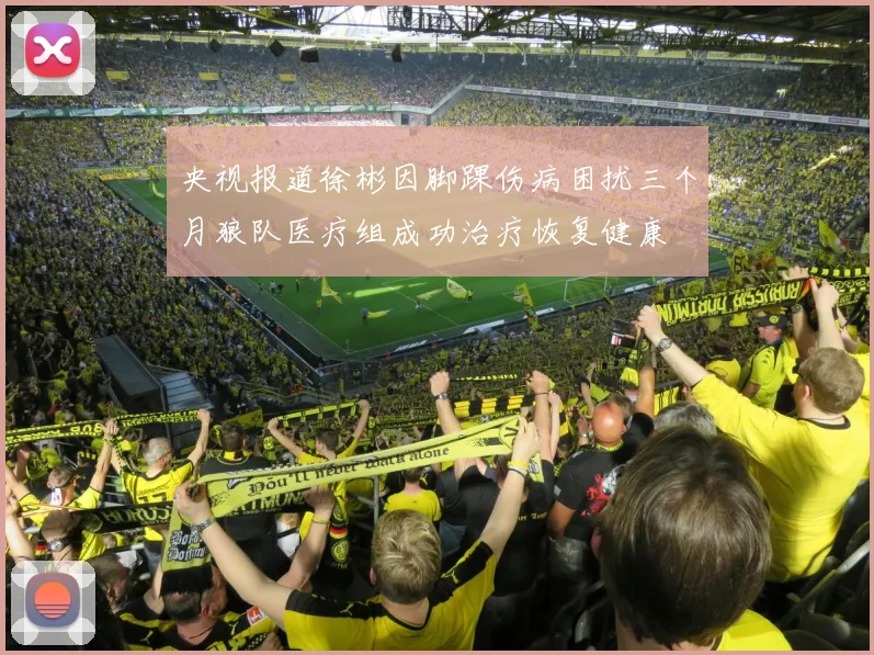 央视报道徐彬因脚踝伤病困扰三个月狼队医疗组成功治疗恢复健康