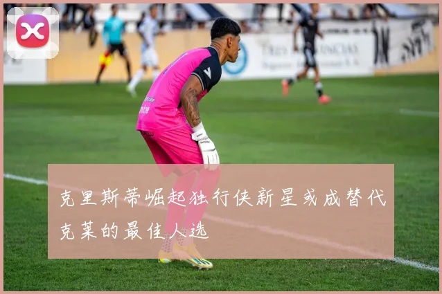 克里斯蒂崛起独行侠新星或成替代克莱的最佳人选