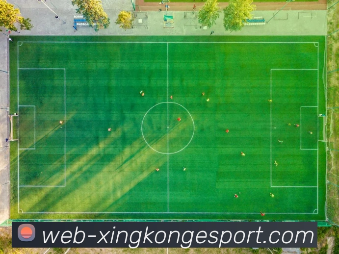 星空电竞平台生态图